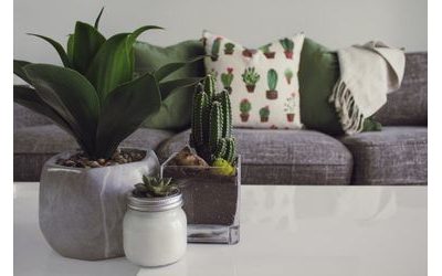 Design inspirovaný přírodou