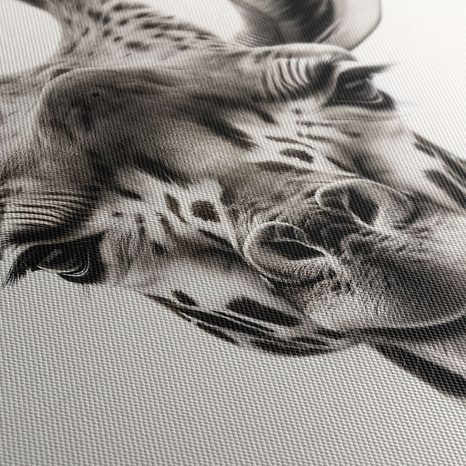 WANDBILD BLICK DER GIRAFFE - WANDBILDER ZEBRAS UND GIRAFFEN - BILDER