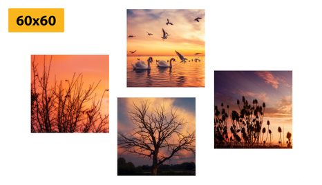 SET DI QUADRI – NATURA AFFASCINANTE - COLLEZIONI DI QUADRI - STAMPE E QUADRI