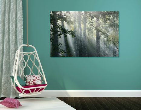 SLIKA SONČNI ŽARKI V MEGLENEM GOZDU - SLIKE NARAVE IN POKRAJINE - SLIKE