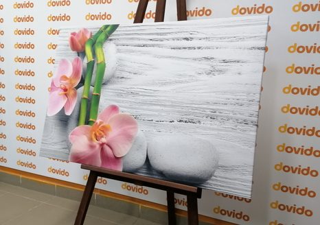 OBRAZ NEŽNÁ ZEN KOMPOZÍCIA - OBRAZY FENG SHUI - OBRAZY