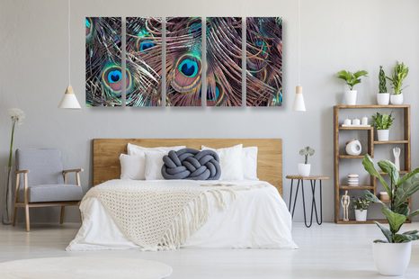 5-DÍLNÝ OBRAZ PAVÍ PEŘÍČKO - OBRAZY ZÁTIŠÍ - OBRAZY