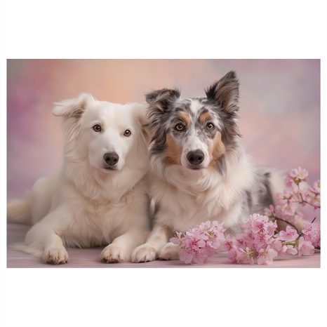 OBRAZ PSI PŘÁTELSTVÍ V KVĚTECH - OBRAZY PSI - OBRAZY