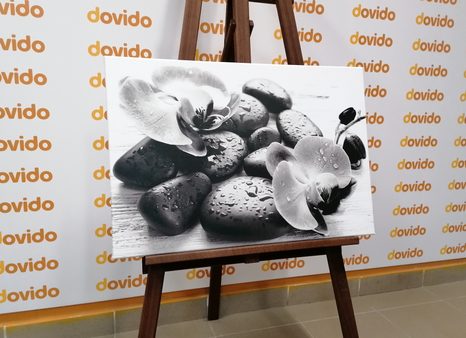 OBRAZ KRÁSNÁ SOUHRA KAMENŮ A ORCHIDEJE V ČERNOBÍLÉM PROVEDENÍ - ČERNOBÍLÉ OBRAZY - OBRAZY