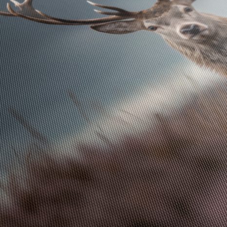 OBRAZ MAJESTÁTNÍ JELEN V PŘÍRODĚ - OBRAZY JELENI - OBRAZY