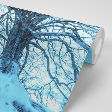 SAMOLEPÍCÍ FOTOTAPETA PŘÍCHOD ZIMY - SAMOLEPÍCÍ TAPETY - TAPETY