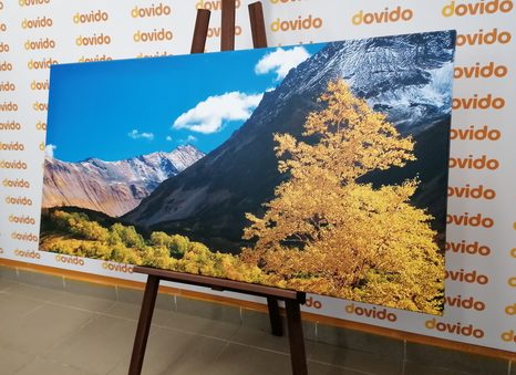 КАРТИНА НА ПЛАТНО – ПРЕКРАСНА ПРИРОДА НА КАМЧАТКА В РУСИЯ - КАРТИНИ НА ПРИРОДАТА И ПЕЙЗАЖИ - КАРТИНИ