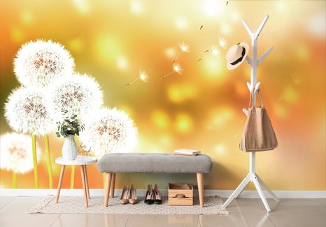 SAMOLEPÍCÍ TAPETA NADÝCHANÁ PAMPELIŠKA - SAMOLEPÍCÍ TAPETY - TAPETY