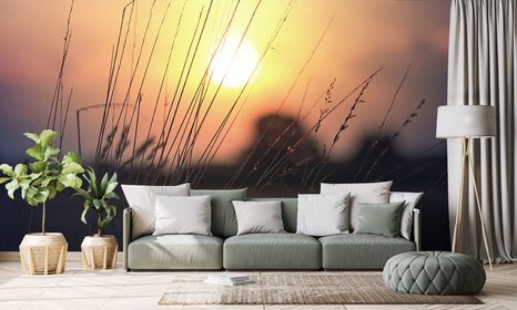 FOTOTAPETA VÝCHOD SLUNCE NAD LOUKOU - TAPETY PŘÍRODA - TAPETY