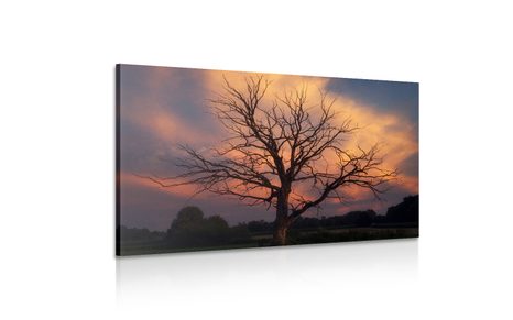 КАРТИНА НА ПЛАТНО – ПРЕКРАСНО ДЪРВО НА ЛИВАДАТА - КАРТИНИ НА ПРИРОДАТА И ПЕЙЗАЖИ - КАРТИНИ