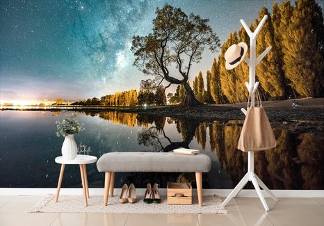 SELBSTKLEBENDE FOTOTAPETE BAUM UNTER EINEM STERNENHIMMEL - SELBSTKLEBENDE TAPETEN - TAPETEN
