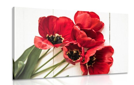 CANVAS PRINT BLOOMING RED TULIPS - PICTURES FLOWERS - PICTURES