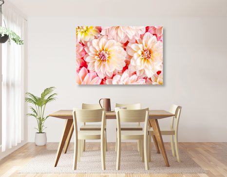 OBRAZ NĚŽNÉ KVĚTY JIŘINY - OBRAZY KVĚTŮ - OBRAZY