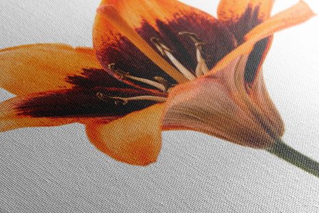 ΕΙΚΌΝΑ ΠΟΡΤΟΚΑΛΊ ΚΡΊΝΟΣ - ΠΊΝΑΚΕΣ ΑΠΌ ΛΟΥΛΟΎΔΙΑ - ΠΊΝΑΚΕΣ