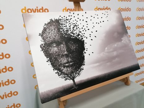 ΕΙΚΌΝΑ ΑΦΗΡΗΜΈΝΟ ΠΡΌΣΩΠΟ ΜΕ ΤΗ ΜΟΡΦΉ ΕΝΌΣ ΔΈΝΤΡΟΥ - ΠΊΝΑΚΕΣ ΑΣΠΡΌΜΑΥΡΕΣ - ΠΊΝΑΚΕΣ