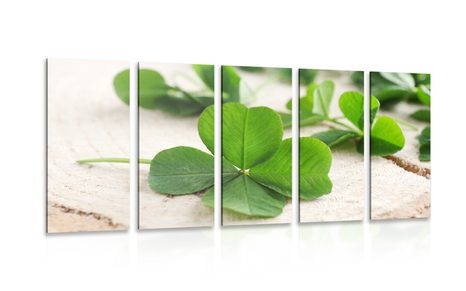 5-PIECE CANVAS PRINT GREEN FOUR-LEAF CLOVERS - STILL LIFE PICTURES - PICTURES