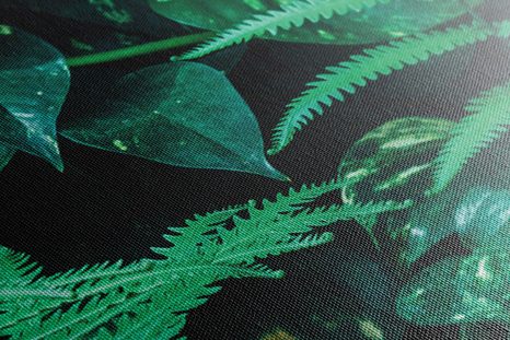 ΕΙΚΌΝΑ ΦΡΈΣΚΩΝ ΤΡΟΠΙΚΏΝ ΦΎΛΛΩΝ - ΠΊΝΑΚΕΣ ΦΎΣΗΣ ΚΑΙ ΤΟΠΊΟΥ - ΠΊΝΑΚΕΣ