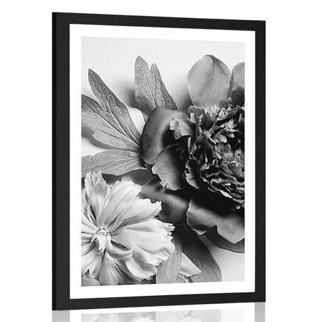 POSTER WITH MOUNT PEONIES IN BLACK AND WHITE - BLACK AND WHITE - POSTERS