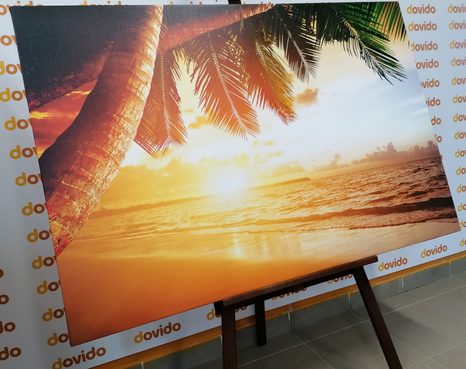 КАРТИНА НА ПЛАТНО – ИЗГРЕВ НА КАРИБСКИЯ ПЛАЖ - КАРТИНИ НА ПРИРОДАТА И ПЕЙЗАЖИ - КАРТИНИ