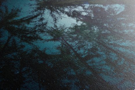 KÉP ÉJ AZ ERDŐBEN - ERDŐT ÁBRÁZOLÓ KÉPEK - KÉPEK