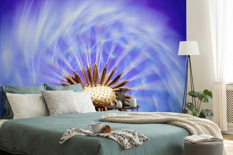 TAPETA PAMPELIŠKA S FIALOVÝM NÁDECHEM - TAPETY KVĚTINY - TAPETY