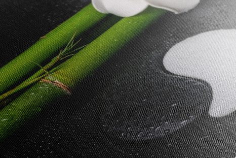 OBRAZ SPA ZÁTIŠÍ SE SYMBOLEM JIN A JANG - OBRAZY FENG SHUI - OBRAZY