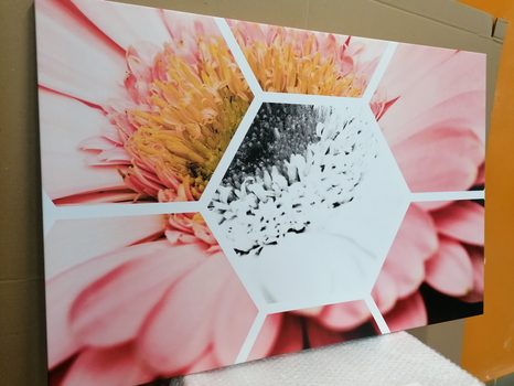 КАРТИНА НА ПЛАТНО – ГЕРГИНА В ШЕСТОЪГЪЛНИК - КАРТИНИ С ЦВЕТЯ - КАРТИНИ