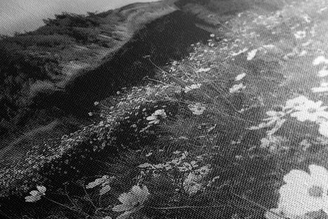 KÉP VIRÁGZÓ RÉT FEKETE FEHÉRBEN - FEKETE-FEHÉR KÉPEK - KÉPEK