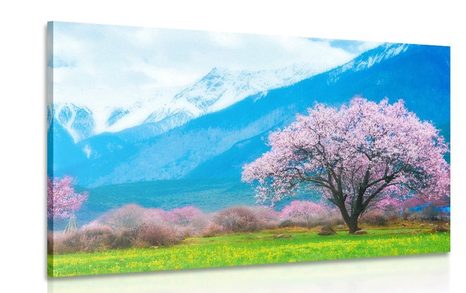 CANVAS PRINT MAGICAL TREE IN THE MIDDLE OF THE MOUNTAINS - PICTURES OF NATURE AND LANDSCAPE - PICTURES