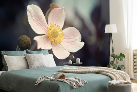 SAMOLEPÍCÍ FOTOTAPETA JEMNOST KVĚTU - SAMOLEPÍCÍ TAPETY - TAPETY