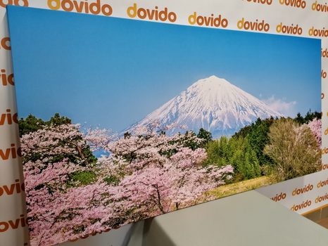 WANDBILD BERG FUJI - BILDER VON NATUR UND LANDSCHAFT - BILDER