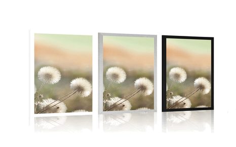 PLAKÁT PANORAMA KVETOUCÍ LOUKY - KVĚTINY - PLAKÁTY