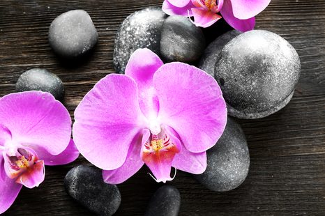 CARTA DA PARATI – SPLENDIDA ORCHIDEA E PIETRE - CARTA DA PARATI FENG SHUI - CARTA DA PARATI
