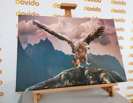 ΕΙΚΌΝΑ ΑΕΤΟΎ ΜΕ ΑΠΛΩΜΈΝΑ ΦΤΕΡΆ ΠΆΝΩ ΑΠΌ ΤΑ ΒΟΥΝΆ - ΠΊΝΑΚΕΣ ΖΏΩΝ - ΠΊΝΑΚΕΣ