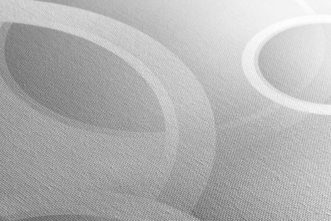 WANDBILD BLUMEN-SCHMUCK IN SCHWARZ-WEISS - SCHWARZ-WEISSE BILDER - BILDER