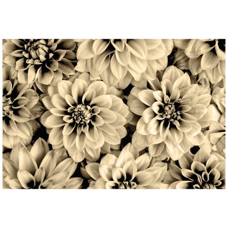 ΑΥΤΟΚΌΛΛΗΤΗ ΤΟΙΧΟΓΡΑΦΊΑ ΆΝΘΗ ΝΤΆΛΙΑΣ ΣΕ ΣΧΈΔΙΟ ΣΈΠΙΑ - ΑΥΤΟΚΌΛΛΗΤΕΣ ΤΑΠΕΤΣΑΡΊΕΣ - ΤΑΠΕΤΣΑΡΊΕΣ