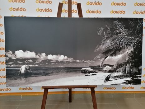 OBRAZ PLÁŽ ANSE SOURCE V ČERNOBÍLÉM PROVEDENÍ - ČERNOBÍLÉ OBRAZY - OBRAZY