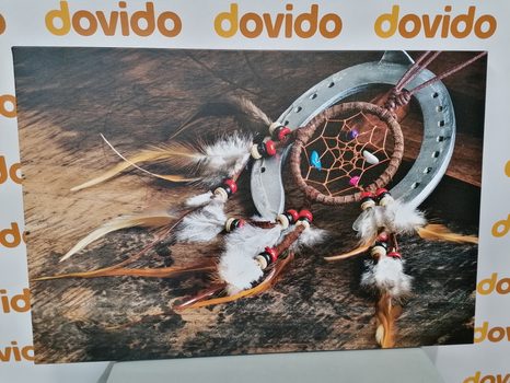 КАРТИНА НА ПЛАТНО – ЛОВЕЦ НА СЪНИЩА - НАТЮРМОРТИ - КАРТИНИ