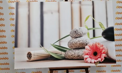 QUADRO SU TELA – NATURA MORTA BENESSERE MEDITATIVA - QUADRI FENG SHUI - STAMPE E QUADRI