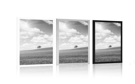 PLAKAT PREKRASNI SUNČANI DAN NA LIVADI U CRNO-BIJELOM DIZAJNU - CRNO-BIJELE - PLAKATI