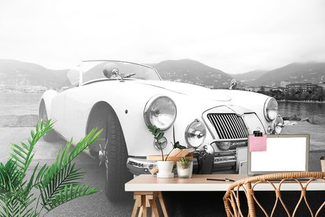 SAMOLEPÍCÍ FOTOTAPETA LUXUSNÍ ČERNOBÍLÝ VETERÁN - SAMOLEPÍCÍ TAPETY - TAPETY