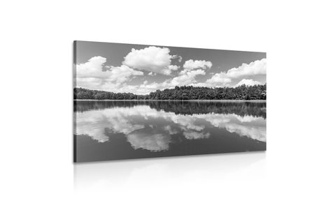 КАРТИНА НА ПЛАТНО – ПРИРОДА ПРЕЗ ЛЯТОТО В ЧЕРНО-БЯЛО ИЗПЪЛНЕНИЕ - ЧЕРНО-БЕЛИ КАРТИНИ - КАРТИНИ