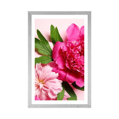 POSTER – PEONIE IN ROSA - FIORI - POSTER
