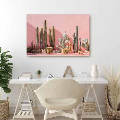 OBRAZ KAKTUSY NA RŮŽOVÉ ZDI - BOTANICKÉ OBRAZY - OBRAZY