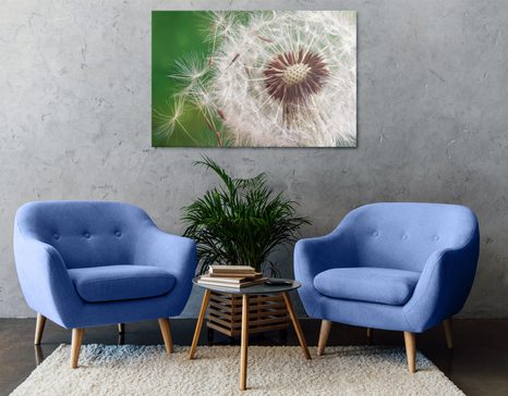 КАРТИНА НА ПЛАТНО – СЕМЕНА НА ГЛУХАРЧЕ - КАРТИНИ С ЦВЕТЯ - КАРТИНИ