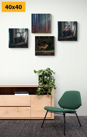 SET OBRAZŮ KOUZLO LESNÍCH ZVÍŘAT - SESTAVY OBRAZŮ - OBRAZY