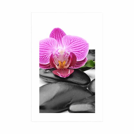 PLAKÁT S PASPARTOU MASÁŽNÍ WELLNESS KAMENY - FENG SHUI - PLAKÁTY