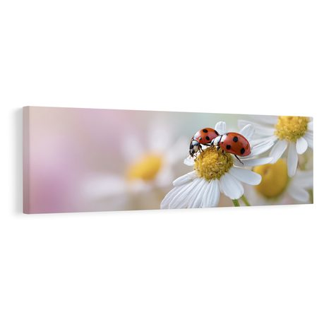 WANDBILD LEBENDIGE NATUR - BILDER TIERE - BILDER