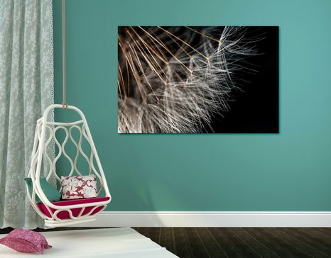 OBRAZ KRÁSA PAMPELIŠKY - OBRAZY KVĚTŮ - OBRAZY