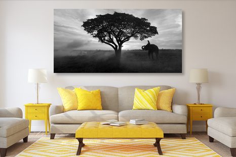 WANDBILD ELEFANT BEIM SONNENAUFGANG IN SCHWARZ-WEISS - SCHWARZ-WEISSE BILDER - BILDER